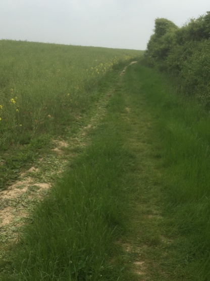 A typical field path